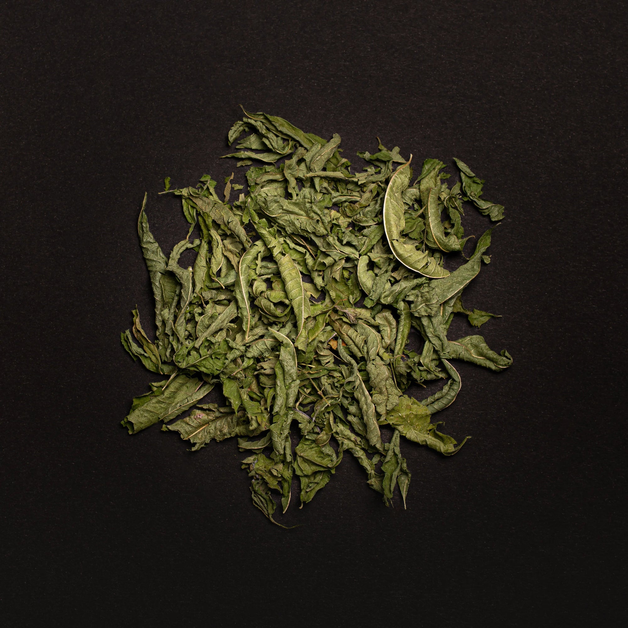 VERVEINE - Infusion à la Verveine Citronnelle - Flore Norman
