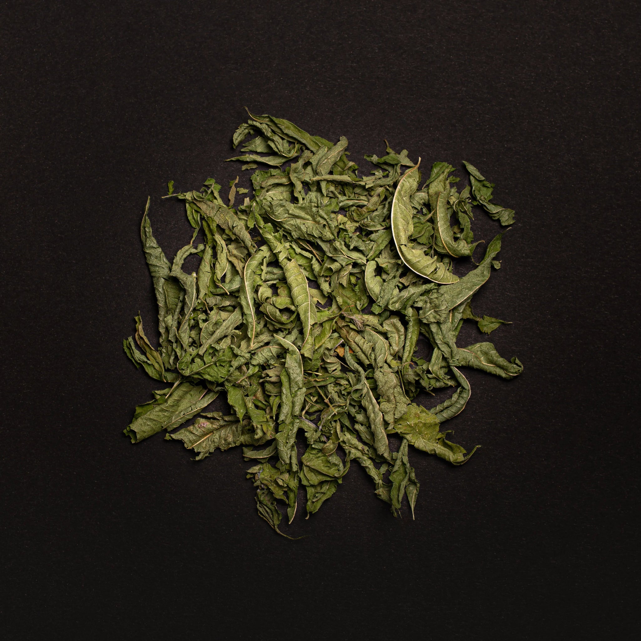 VERVEINE - Infusion à la Verveine Citronnelle - Flore Norman